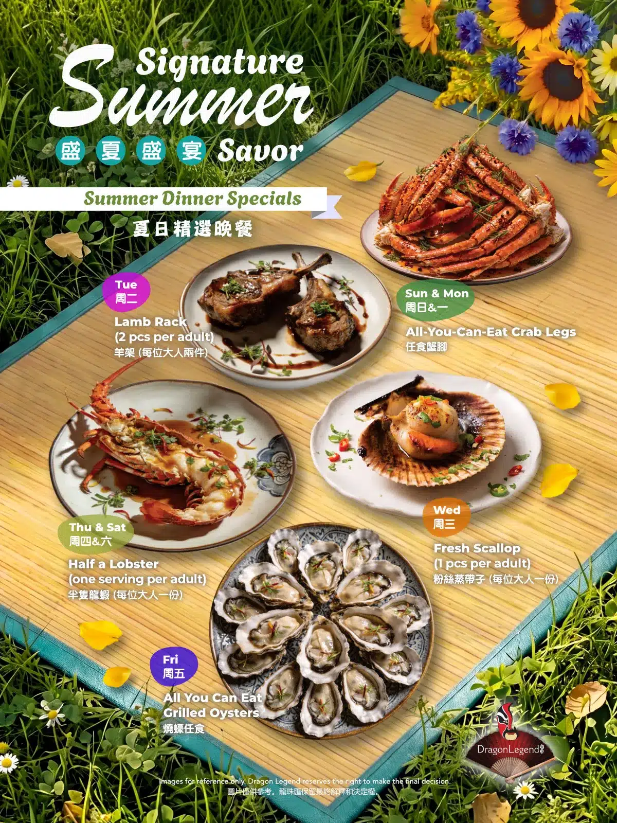 DL2604_Poster_Summer offer_website_banner